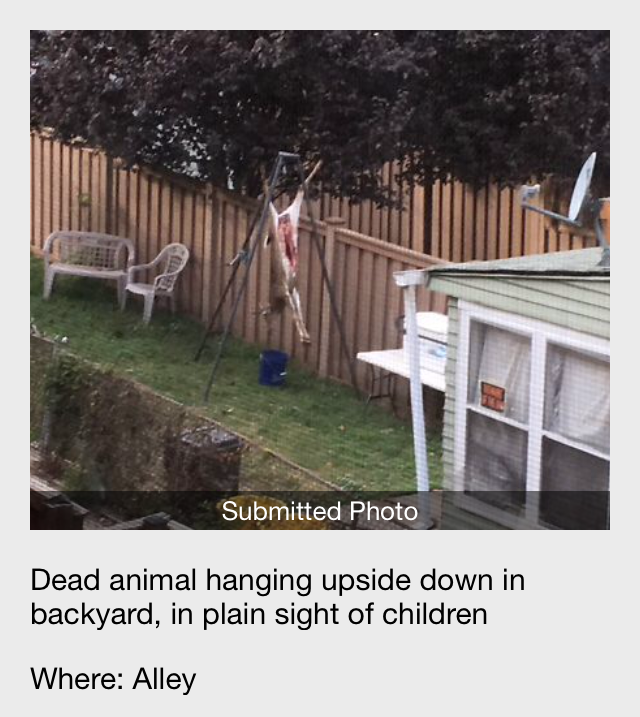 A dead deer hung up in someone's back yard.