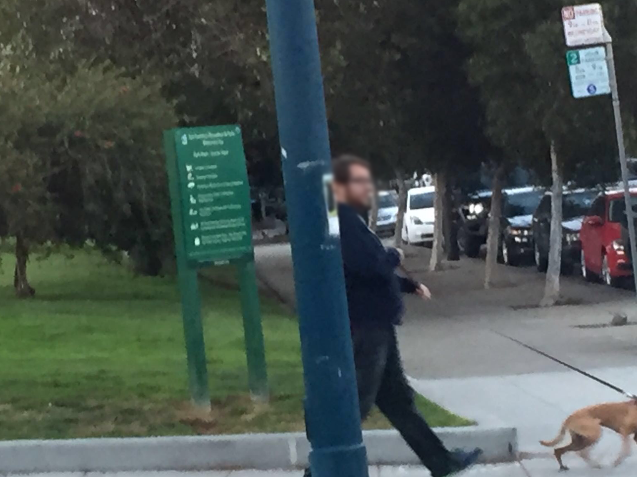 Someone walking their dog with their face blurred out.
